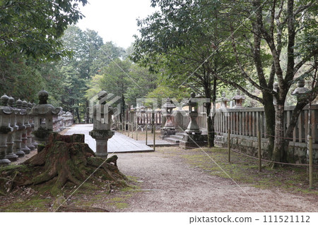 Early spring at the tranquil Yamaguchi Mori family cemetery 111521112