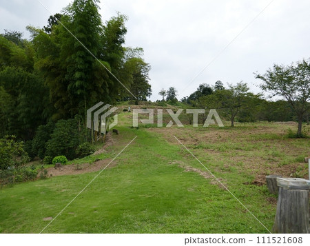 Sugiyama Castle Ruins (Arashiyama Town, Saitama Prefecture) Sugiyama Castle Ruins (Arashiyama Town, Saitama Prefecture) 111521608