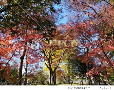 Suzumiya Park (Yorii Town, Saitama Prefecture) Suzumiya Park (Yorii Town, Saitama Prefecture) 111521727