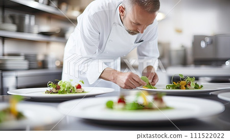 Chef preparing food in the kitchen of a modern hotel or restaurant 111522022