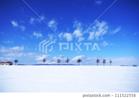 有雪地的冬天童話山，北海道 111522558