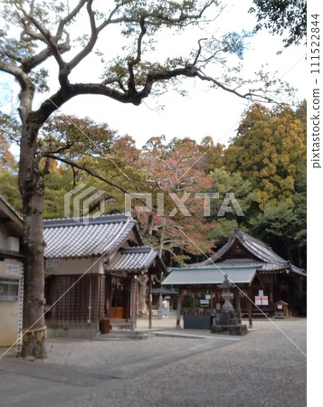 冬天的尾張田神社 冬天的尾張田神社 111522844