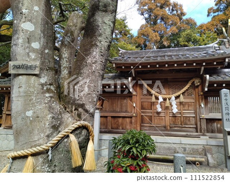 Owaritaga Shrine in winter 111522854