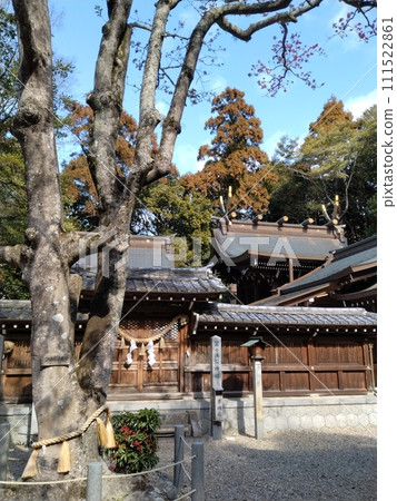 Owaritaga Shrine in winter 111522861