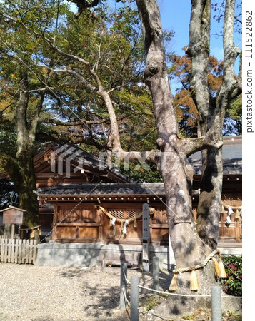Owaritaga Shrine in winter 111522862
