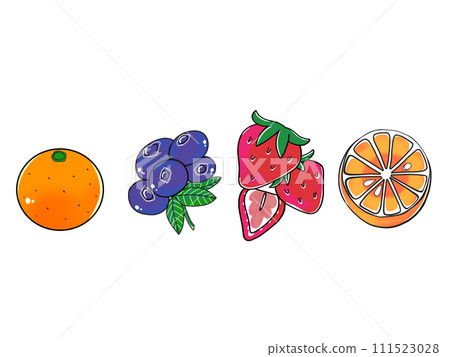 Fruit illustration set Fruit illustration set 111523028