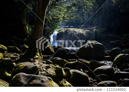 冬季菊池溪谷美麗的山谷風景和美麗的流水 冬季菊池溪谷美麗的山谷風景和美麗的流水 111524002