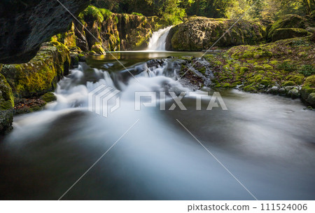 Beautiful valley scenery with beautiful flowing water in Kikuchi Valley in winter 111524006
