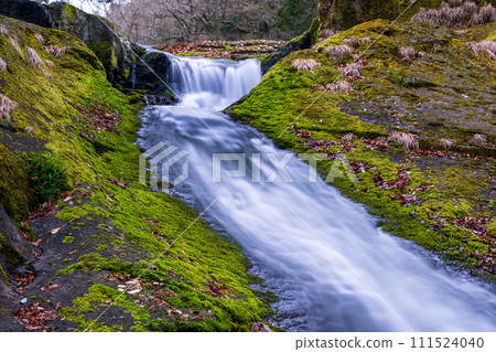 Beautiful valley scenery with beautiful flowing water in Kikuchi Valley in winter 111524040