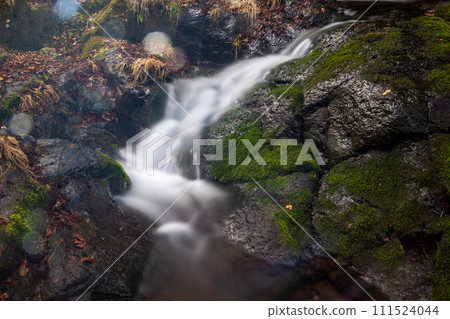 冬季菊池溪谷美麗的山谷風景和美麗的流水 111524044