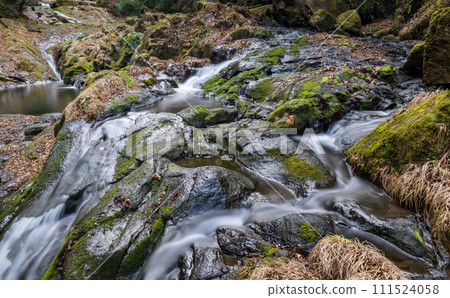 冬季菊池溪谷美麗的山谷風景和美麗的流水 冬季菊池溪谷美麗的山谷風景和美麗的流水 111524058