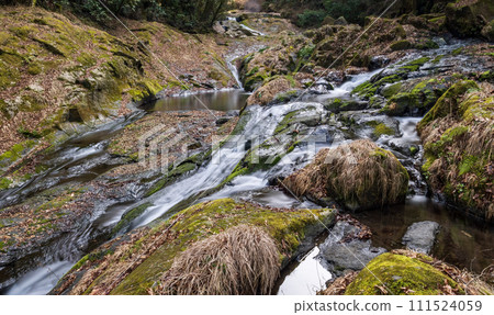 冬季菊池溪谷美麗的山谷風景和美麗的流水 111524059