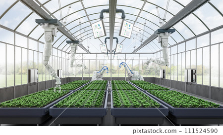 Agriculture technology with robot assistant in indoor farm or glasshouse 111524590