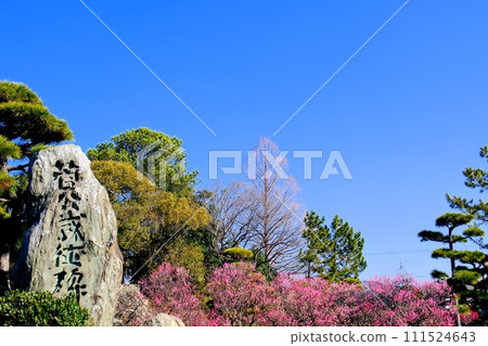 曾根天滿宮 曾根天滿宮 111524643