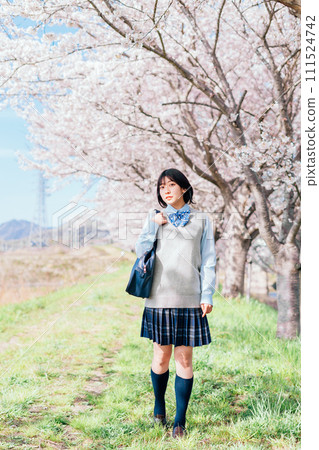 A high school girl who goes to school on a cherry blossom riverbed 111524742