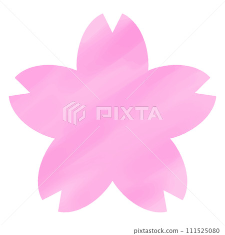 Pink watercolor cherry blossoms/illustration/material 111525080