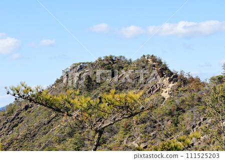 滋賀縣甲南阿爾卑斯山、堂山山頂附近的山面 111525203