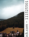 A Serene Alpine Village on the Forest's Edge, Enveloped by Mist and the Quiet  111525501