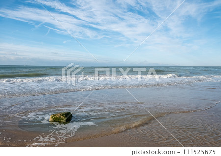 Maritime Serenity: A Lone Rock's Tale 111525675