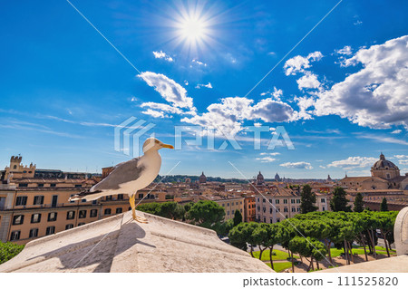 Rome Italy, high angle view city skyline at Rome city center with seagull Rome Italy, high angle view city skyline at Rome city center with seagull 111525820