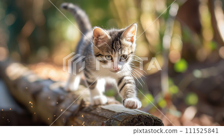 小貓過木橋的冒險 111525841