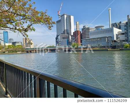 A building under construction and a railway bridge are across the river in front of you. Branches of cherry blossoms growing to the left A building under construction and a railway bridge are across the river in front of you. Branches of cherry blossoms growing to the left 111526209