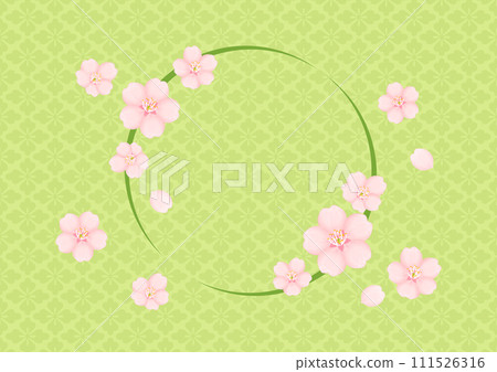 櫻花 111526316