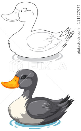 Graceful Duck on Water Illustration Graceful Duck on Water Illustration 111527075