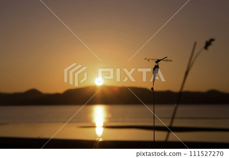 豬苗代湖的日落和蜻蜓 豬苗代湖的日落和蜻蜓 111527270