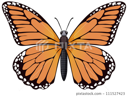 Vibrant Monarch Butterfly Illustration Vibrant Monarch Butterfly Illustration 111527423