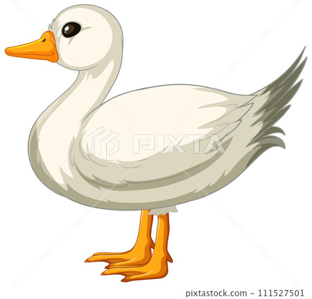 Graceful White Duck Vector Illustration Graceful White Duck Vector Illustration 111527501