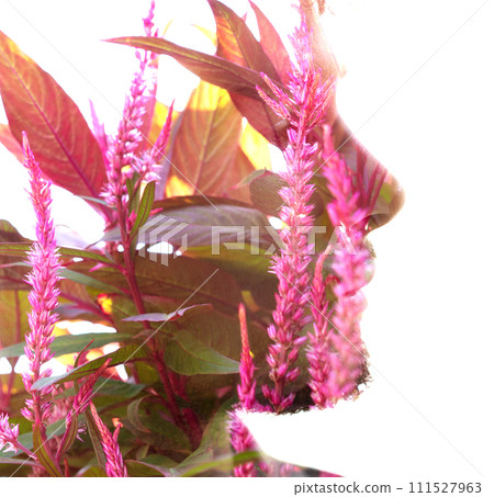 An abstract double exposure man's profile portrait An abstract double exposure man's profile portrait 111527963