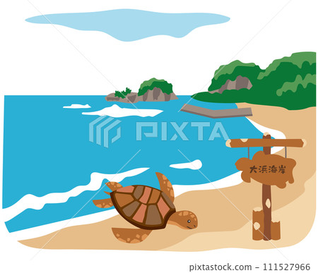 Ohama coast sea turtle spawning Tokushima prefecture tourism material 111527966