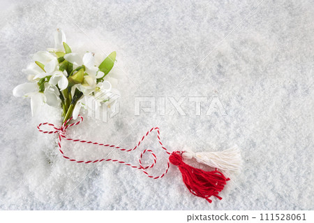 Snowdrops flowers with a red and white martenitsa on a snow background. Martisor and Baba Marta. 111528061