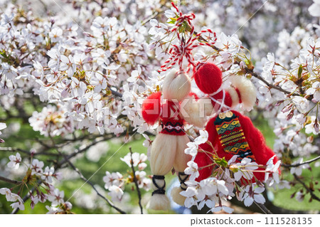 Bulgarian traditional spring decor Martenitsa on the cherry blossom tree. Baba Marta holiday. Bulgarian traditional spring decor Martenitsa on the cherry blossom tree. Baba Marta holiday. 111528135