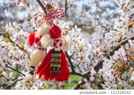 Bulgarian traditional spring decor Martenitsa on the cherry blossom tree. Baba Marta holiday. 111528142