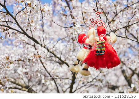 Bulgarian traditional spring decor Martenitsa on the cherry blossom tree. Baba Marta holiday. 111528150