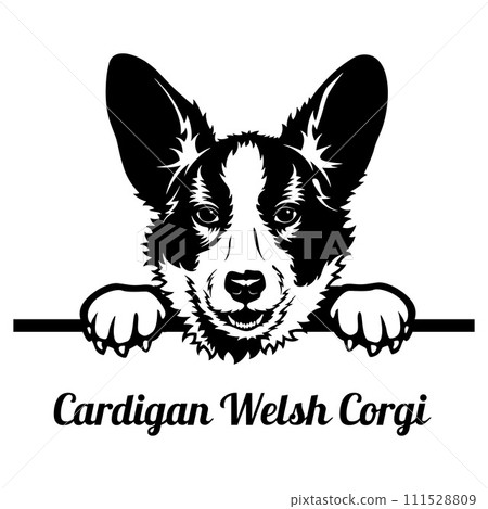 Peeking Cardigan Welsh Corgi - Dog Breed - Pet Vector Portrait, Dog Silhouette Stencil - Cricut file EPS Peeking Cardigan Welsh Corgi - Dog Breed - Pet Vector Portrait, Dog Silhouette Stencil - Cricut file EPS 111528809