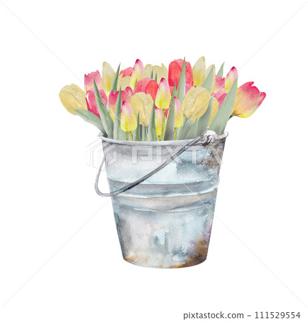 Watercolor illustration of a bouquet of colorful tulips in a metal bucket.Hand drawn tulip bouquet. 111529554