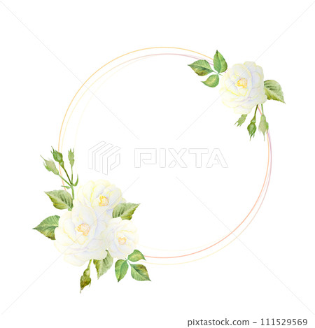 Watercolor illustration of a frame of white roses with leaves, hand drawn. For design of postcards, 111529569