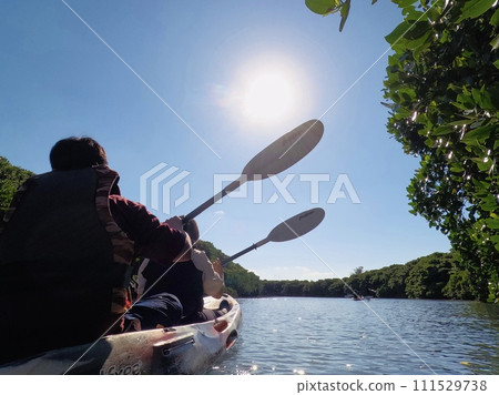 Mangrove canoeing in clear skies Mangrove canoeing in clear skies 111529738