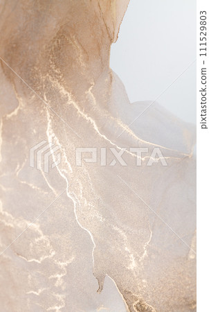 Abstract fluid art painting in alcohol ink, mixture of bronze, silver, metallic and gold paints. 111529803