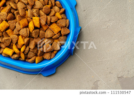 Plastic pet bowl with food on gray background 111530547