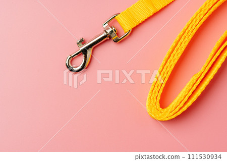 Textile pet collar on pink background studio photo Textile pet collar on pink background studio photo 111530934