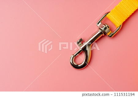 Dog leash with carabiner on pink background Dog leash with carabiner on pink background 111531194