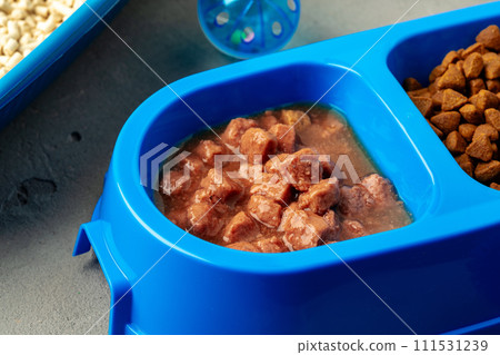 Plastic pet bowl with food on gray background Plastic pet bowl with food on gray background 111531239