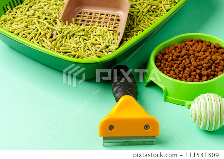 Pet accessories food bowl, litter box studio shot 111531309