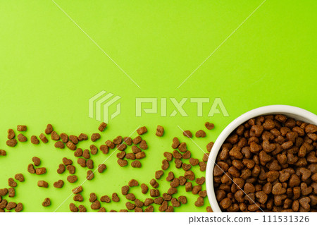 Pet bowl with dry food on green background studio shot Pet bowl with dry food on green background studio shot 111531326
