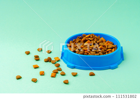 Dry pet food in bowl on color background 111531802