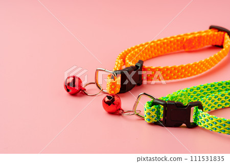 Textile pet collar on pink background studio photo Textile pet collar on pink background studio photo 111531835